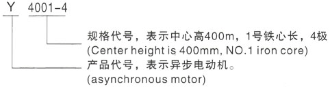 西安泰富西玛Y系列(H355-1000)高压YKS5003-8三相异步电机型号说明